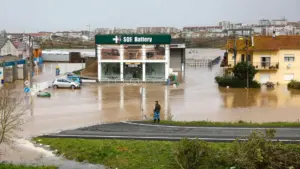 CIM de la Région de Leiria demande à E-Redes un renforcement urgent des moyens.
