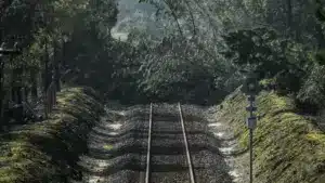 Circulation coupée sur des tronçons des lignes du Minho, du Nord, du Douro et de l'Ouest.