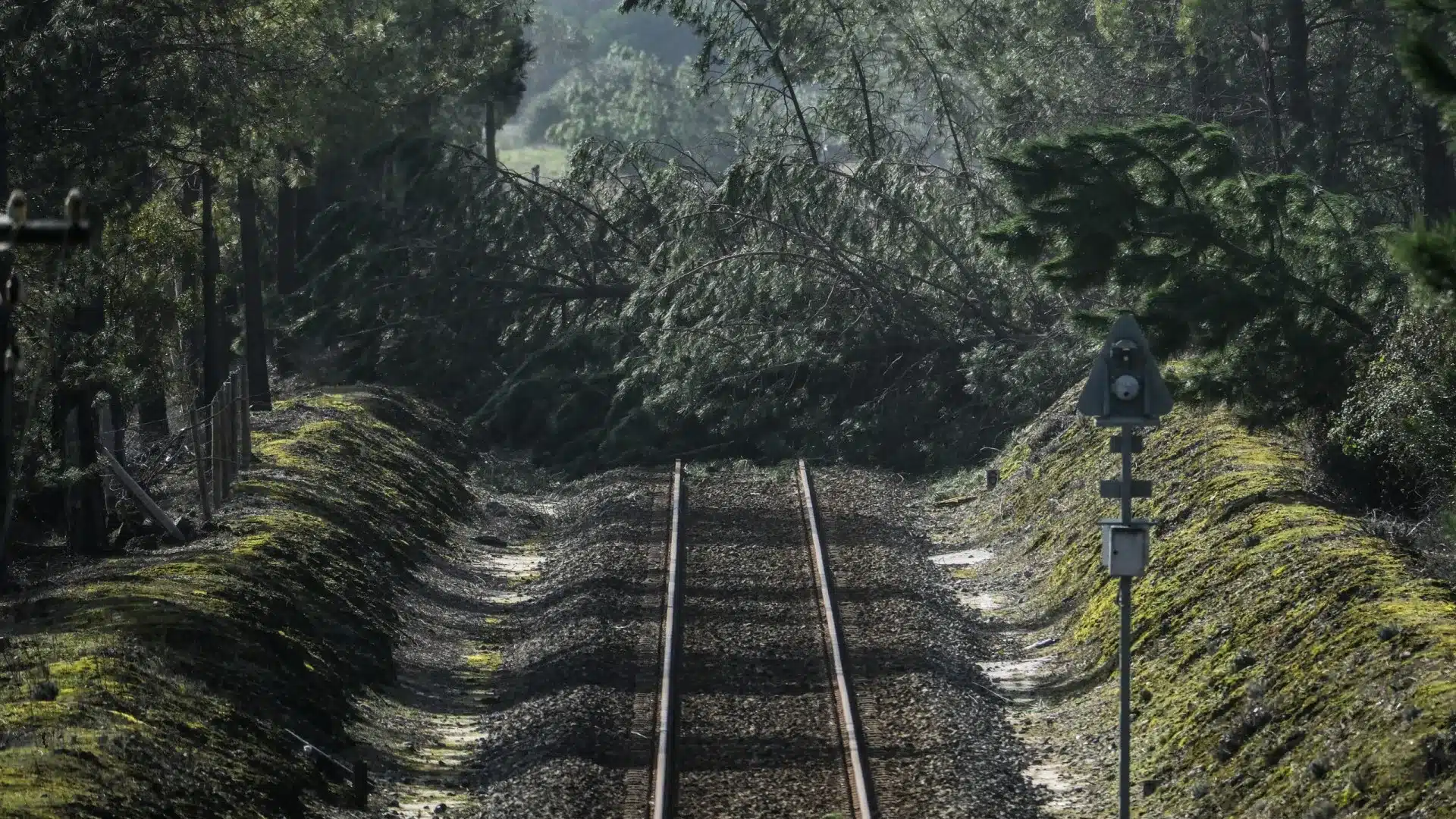 Circulation coupée sur des tronçons des lignes du Minho, du Nord, du Douro et de l'Ouest.