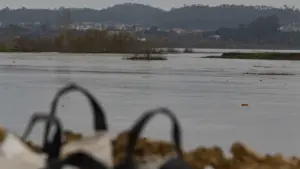 Débit du fleuve Mondego avec une baisse significative à Montemor-o-Velho