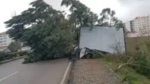 Des entreprises de Leiria remplacent des toits et augmentent la production sans aides.