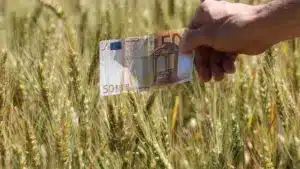 "Des milliers d'euros de pertes". On demande des fonds du PTRR pour l'agriculture