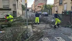 Deux personnes ont été relogées à Castelo Branco après avoir subi des blessures.