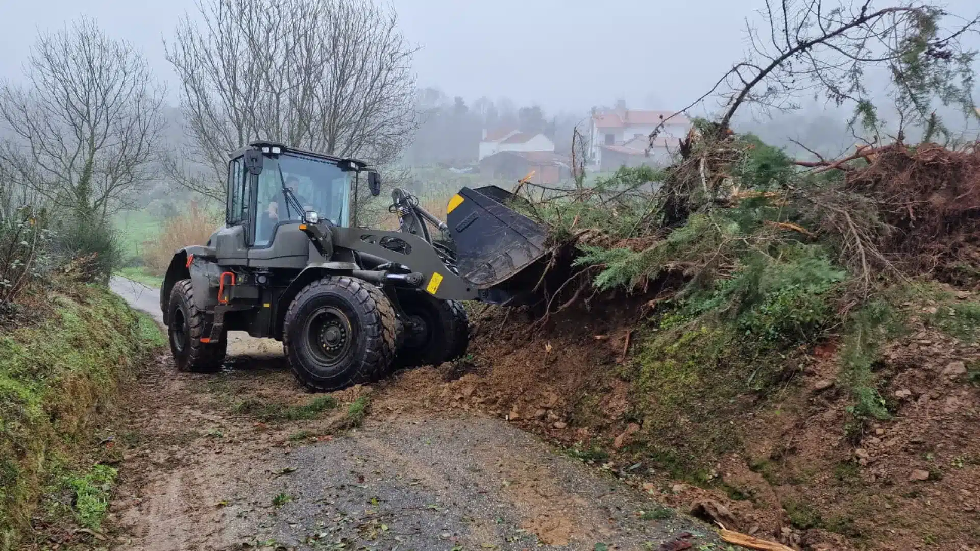 Dévastation. L'industrie de l'alimentation animale vit la "pire crise" de son histoire.
