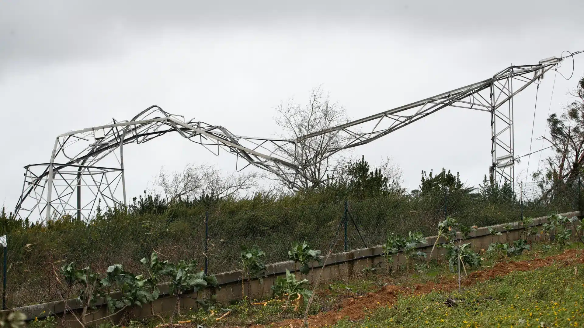 E-Redes avec 46 000 clients sans électricité à 16h00.