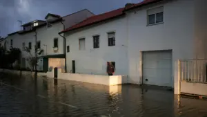 Entreprises dans les municipalités en état de calamité responsables de 15,2 % des exportations