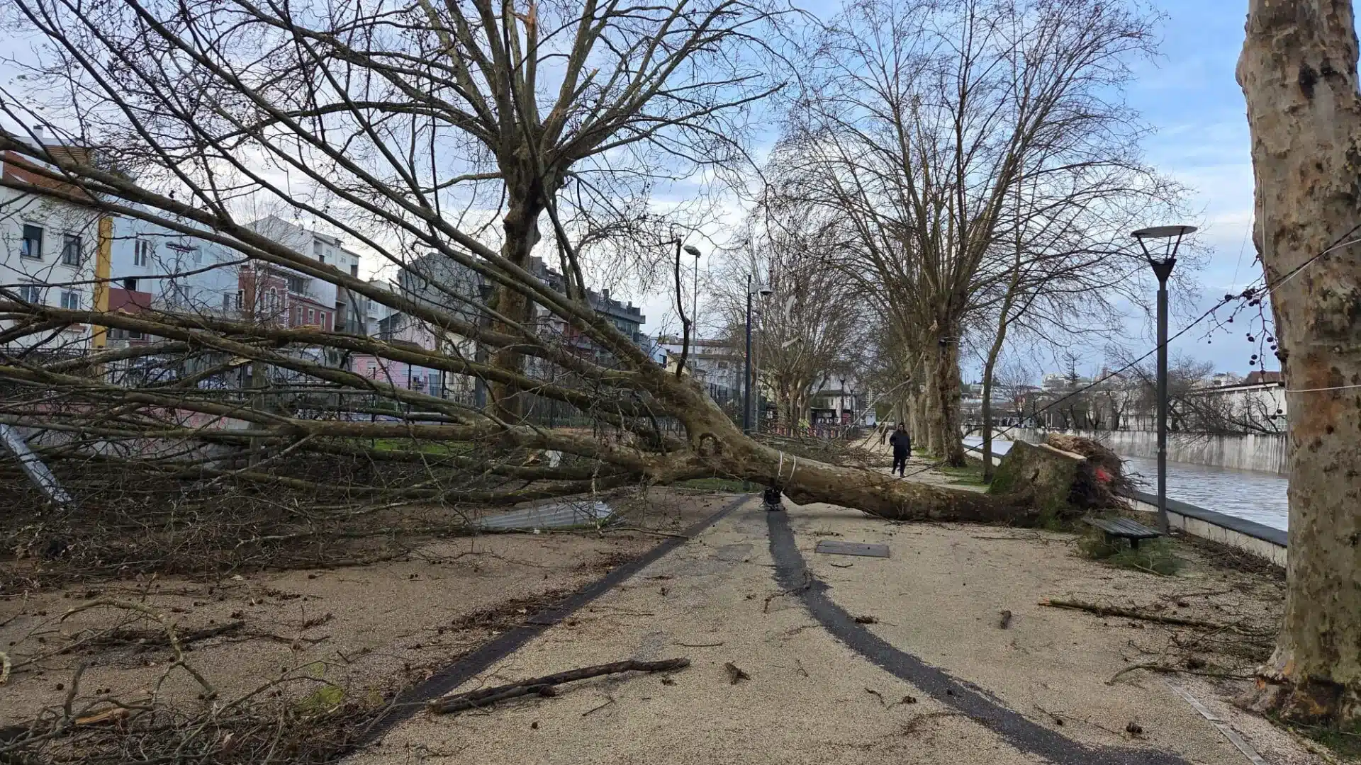 Glissement de terrain oblige à l'évacuation de 13 personnes à Leiria.