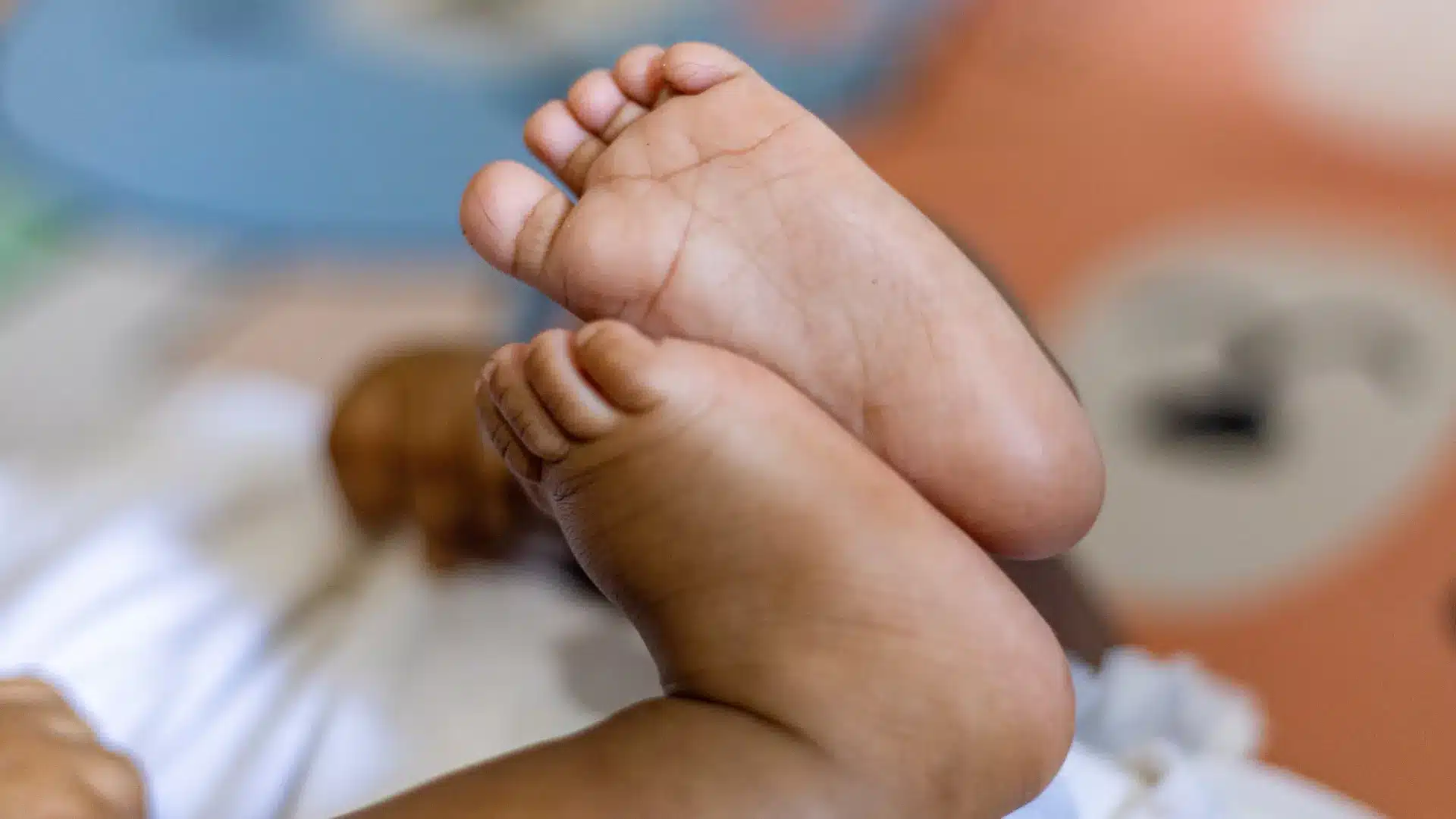 Hôpital de Ponta Delgada avec hypothermie thérapeutique pour nouveau-nés