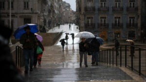 Il y a eu 18 762 incidents depuis le 1er février. Chute d'arbres en haut.