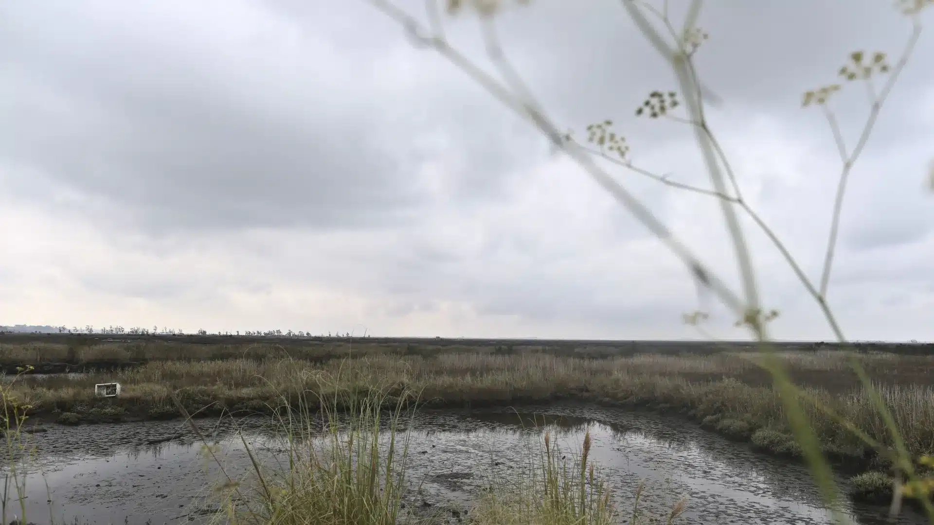 La baisse du débit du fleuve Vouga a permis aux familles de rentrer chez elles.