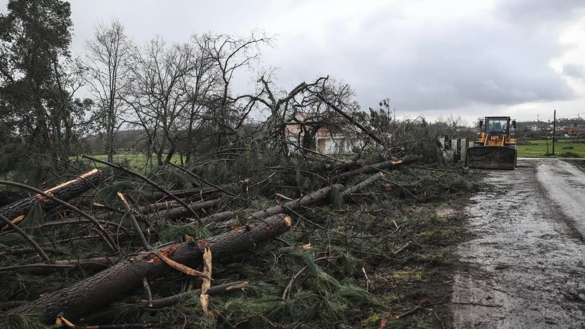 La CAP a déjà reçu des indications de pertes de l'ordre de 130 millions d'euros.