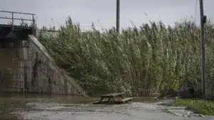 La communauté de pêcheurs appelle à la reconstruction du quai de Carrasqueira.
