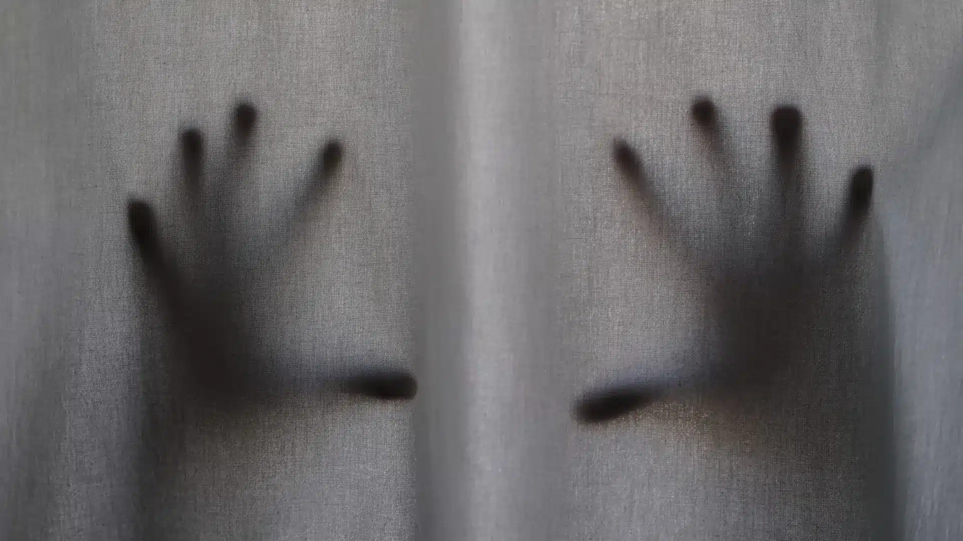 La justice marque la Journée des victimes de crimes. Augmentation du nombre de femmes parmi les victimes.