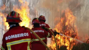 La lutte contre les incendies comptera 15 000 opérateurs et 76 moyens aériens.