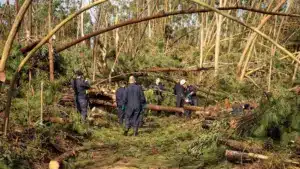 La Marine a aidé 92 personnes avec des réparations de logements.