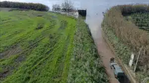 La marine et l'AMN retirent 4 tonnes de débris des routes à Leiria.