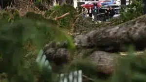 L'ANMP dit que la Protection civile nationale aurait dû "agir plus tôt".