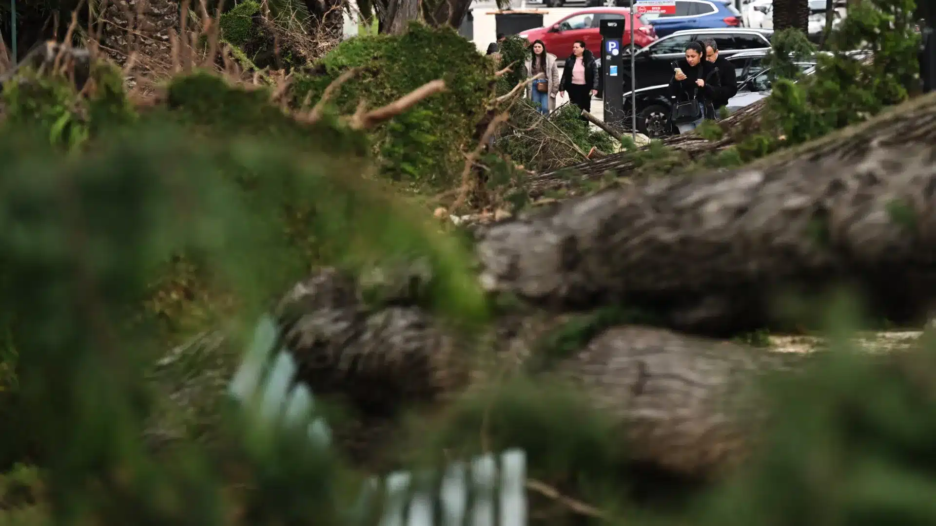 L'ANMP dit que la Protection civile nationale aurait dû "agir plus tôt".