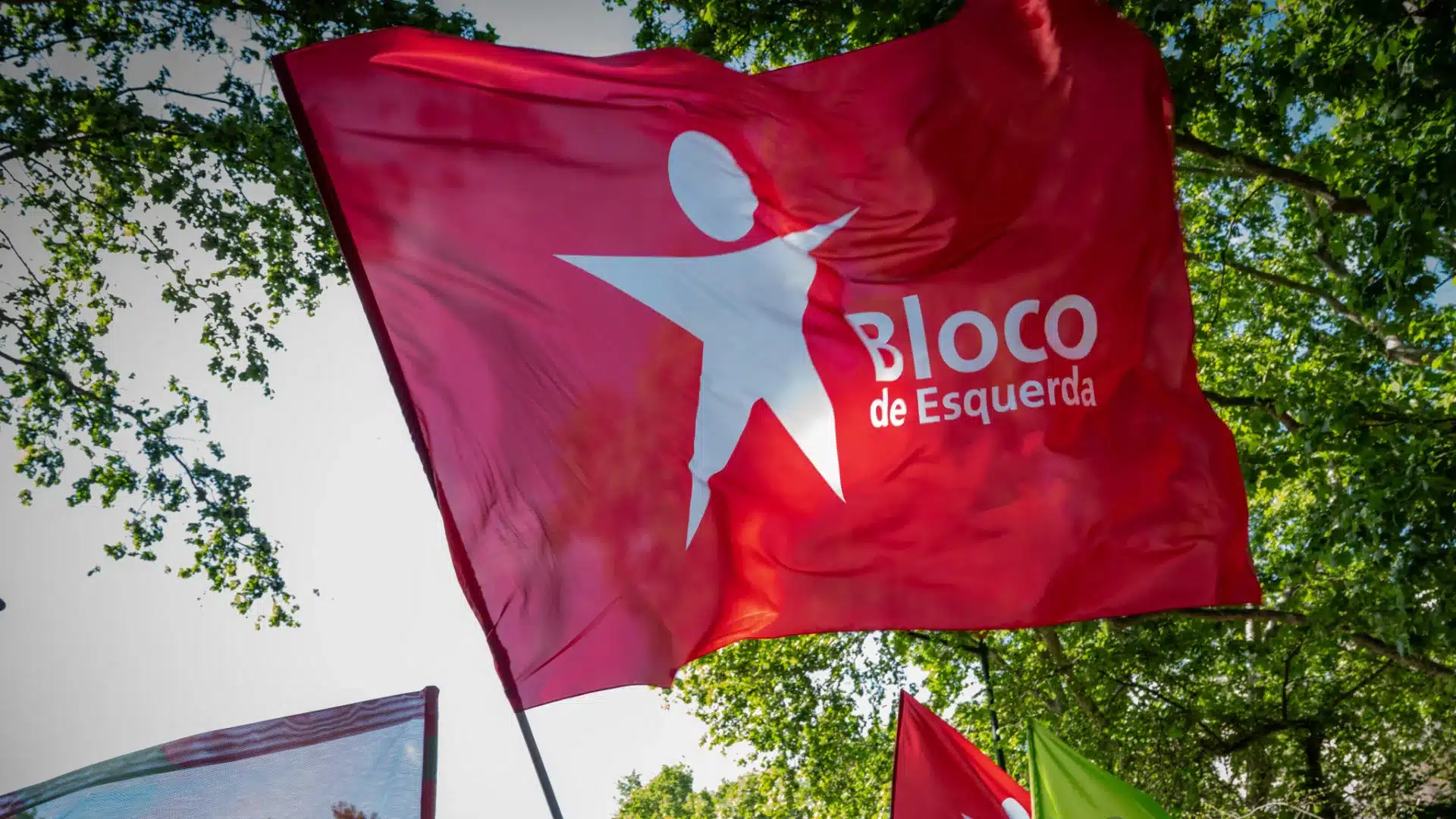 Le BE dit que l'annulation de Girabolhos était de la responsabilité d'Endesa.