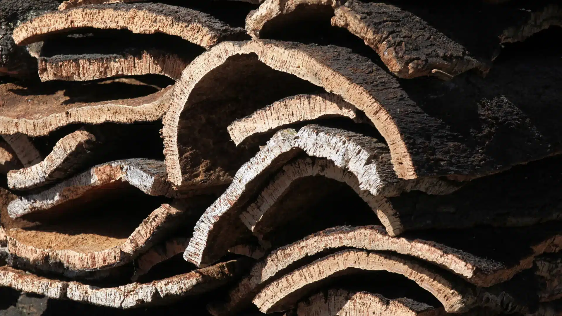 Le bénéfice de Corticeira Amorim baisse de 20,3% à 55,6 millions en 2025.