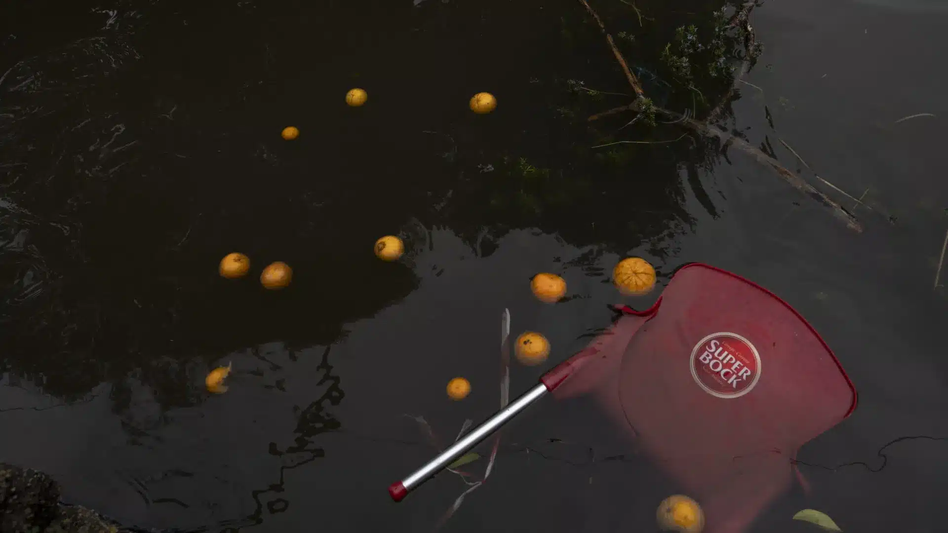 Le district d'Aveiro maintient 35 routes interdites ou restreintes.