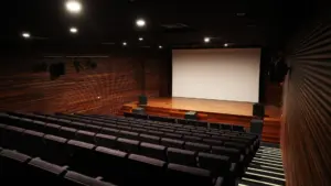 Le gouvernement organise aujourd'hui une consultation publique sur l'exhibition et la fermeture des cinémas.