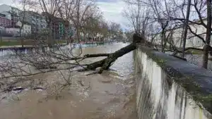 Le gouvernement refuse de nouveaux canaux pour les immigrants après la tempête.