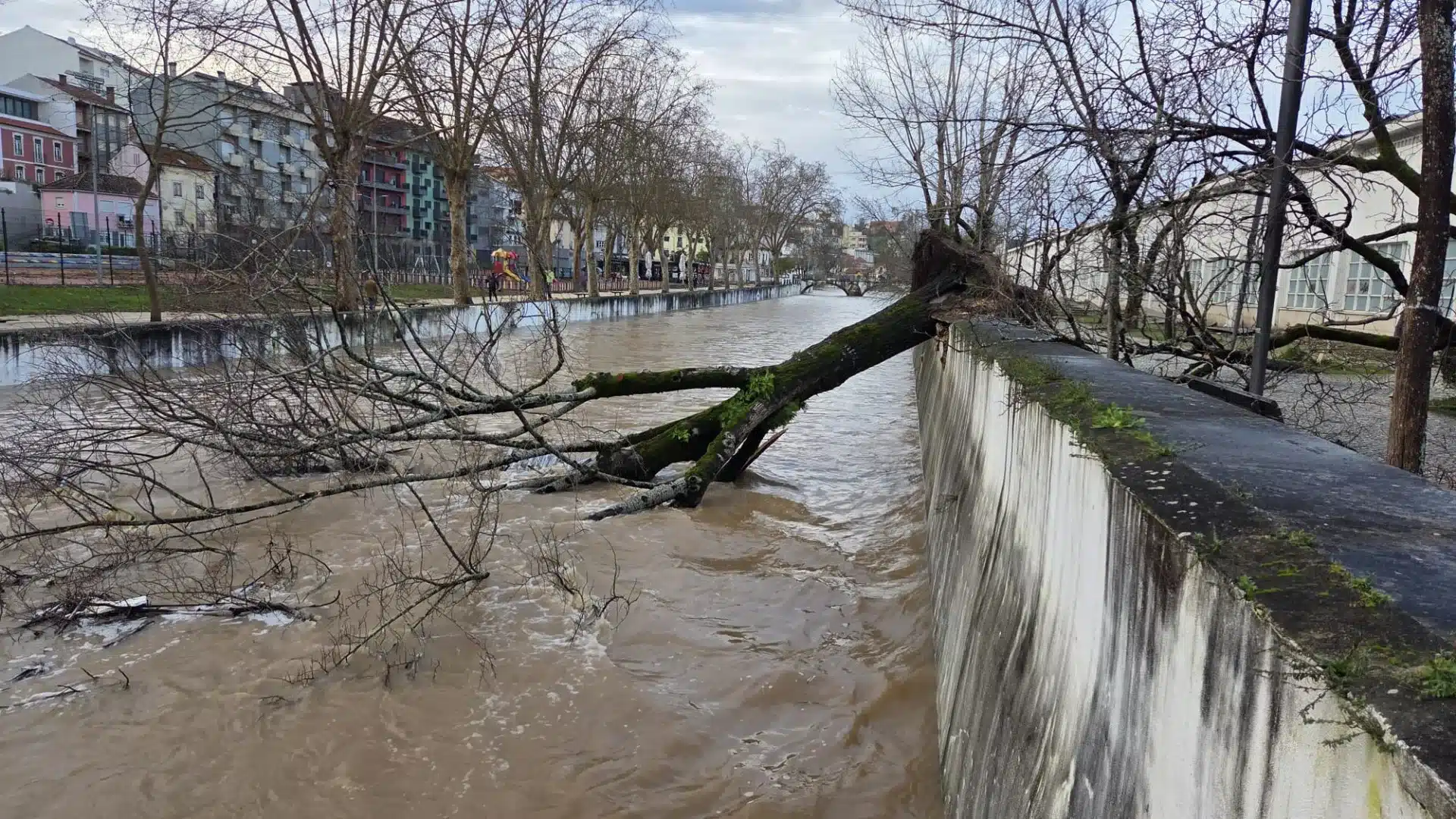 Le gouvernement refuse de nouveaux canaux pour les immigrants après la tempête.