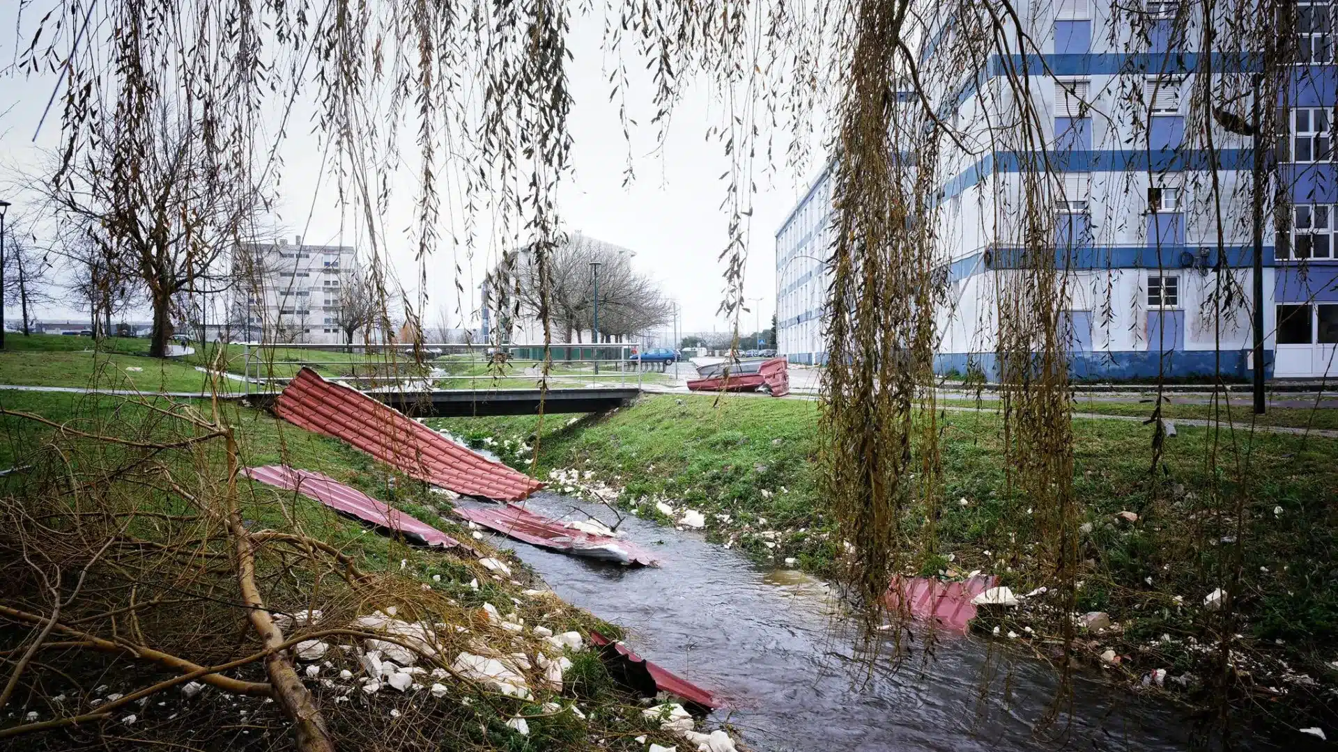 Leiria dit que la Protection Civile et le réseau électrique doivent "être analysés".