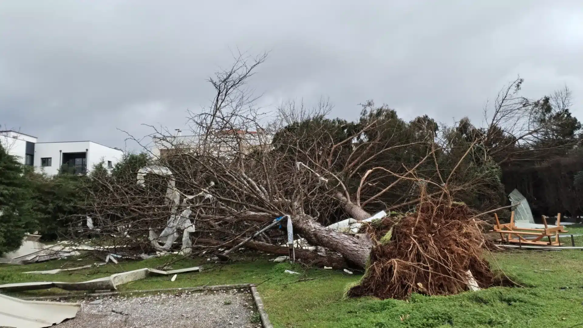 L'enlèvement des arbres abattus est une priorité du gouvernement avant les incendies.