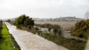 Les agriculteurs de Coimbra exigent la réparation du canal d'irrigation du Mondego.