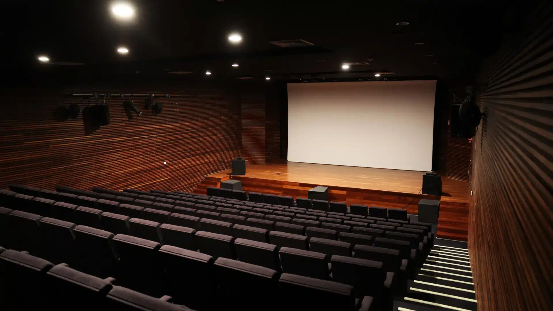 Les cinéclubs appellent au renforcement du soutien à l'exposition cinématographique.