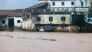 Les entrepreneurs de Coimbra exigent des mesures adaptées à l'urgence économique.