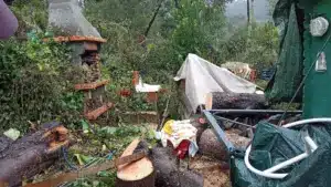 Les maires de Lezíria do Tejo demandent des soutiens exceptionnels pour réparer les dommages.