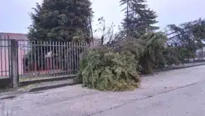 Les municipalités demandent un paquet financier pour réparer les dommages causés par les tempêtes.