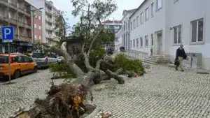 Les municipalités touchées par le mauvais temps annulent les défilés de carnaval. Où ?