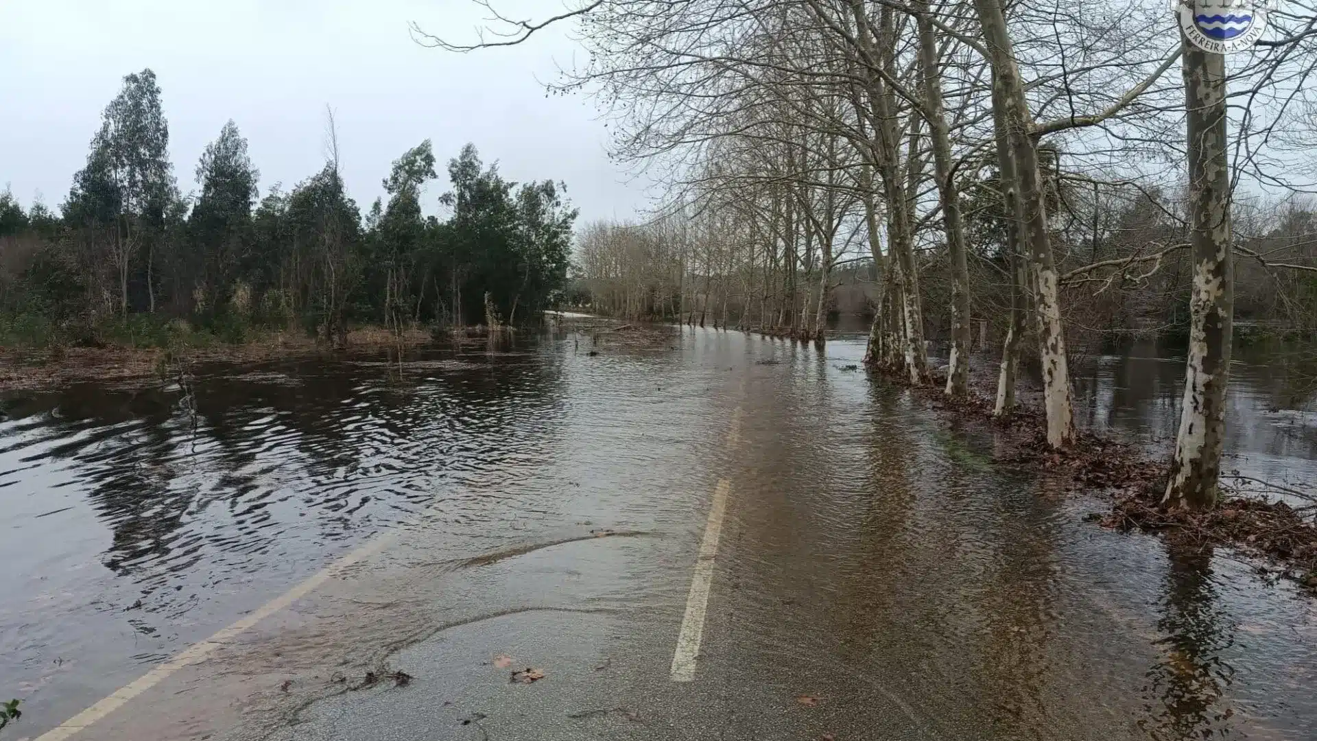 Les niveaux de la rivière Mondego à Montemor commencent à baisser, mais restent critiques.