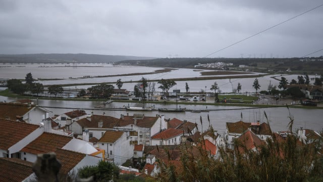 Les œufs vont devenir plus chers : Les tempêtes ont apporté "l'un des hivers les plus sombres".