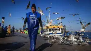 Les pêcheurs parlent d'un "impact record" avec des bateaux à l'arrêt depuis décembre.