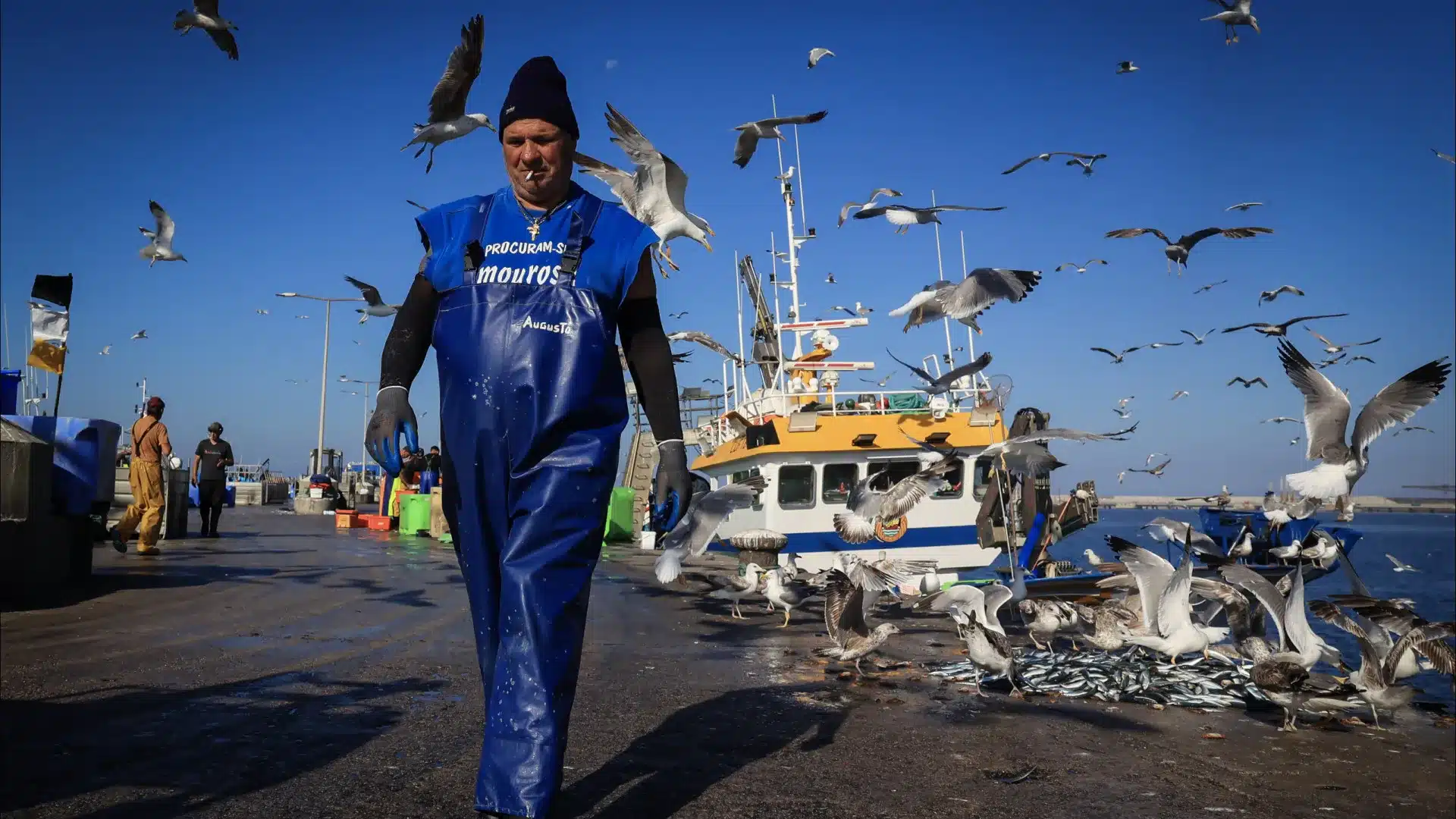 Les pêcheurs parlent d'un "impact record" avec des bateaux à l'arrêt depuis décembre.