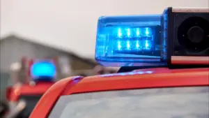 Les pompiers de Salvaterra nourrissent environ 200 animaux isolés par l'eau.