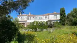 L'État met aux enchères une maison de luxe à Cascais pour huit millions (elle a même un cinéma)