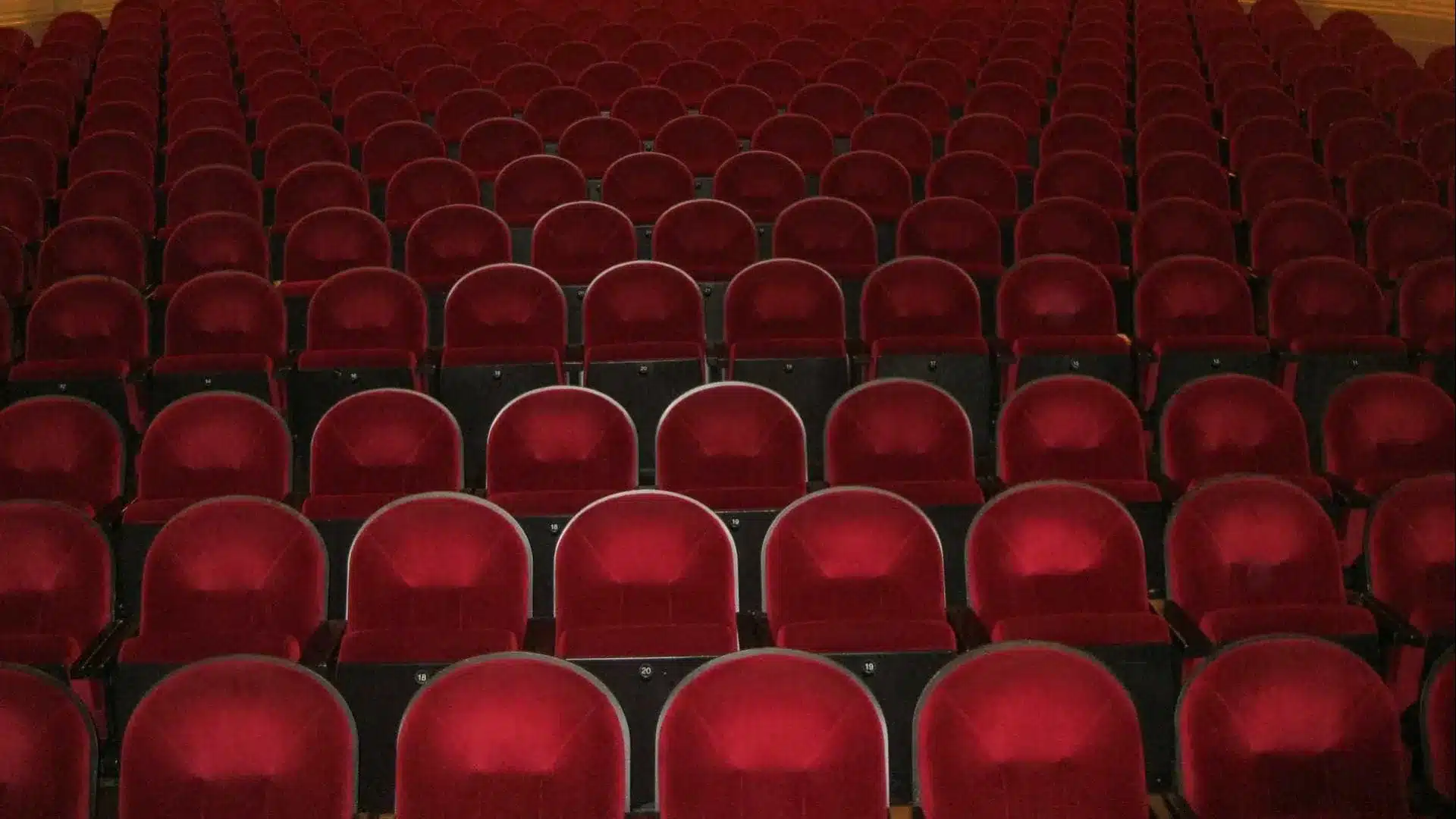 L'événement solidaire "Amor ao Centro" a rapporté 18 707 euros.