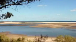 L'IPMA ouvre une consultation publique pour la transition du secteur de l'aquaculture dans la Ria Formosa.