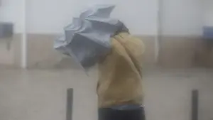 Marinha Grande fournit de la nourriture pour les animaux d'élevage.