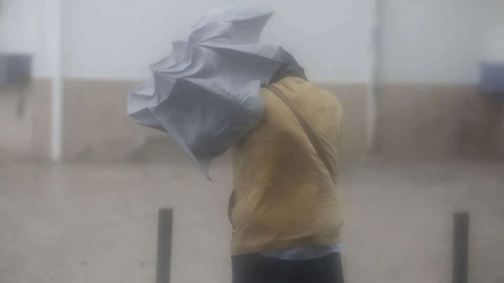 Marinha Grande fournit de la nourriture pour les animaux d'élevage.