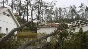 Marinha Grande se plaint d'avoir presque 20 % du territoire sans électricité.