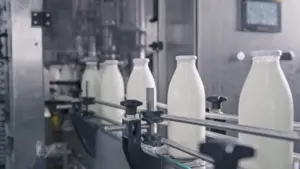 Mauvais temps. Les producteurs de lait renforcent leur appel au gouvernement.