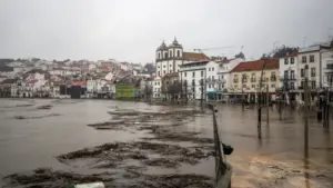 Mauvais temps : L'industrie de l'alimentation animale traverse "la pire crise" de son histoire.