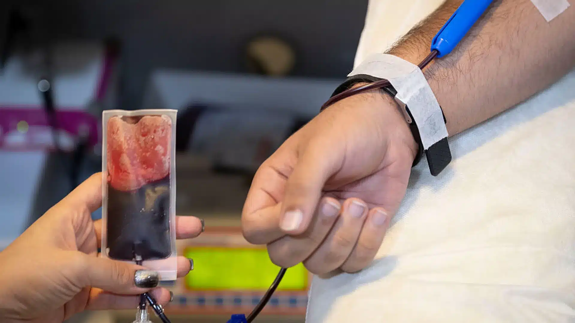 Médio Tejo avec plus de cinq mille dons de sang en 2025